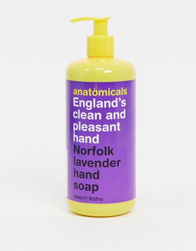 Detergente mani Clean And Pleasant Hand 500ml - Anatomicals - Modalova