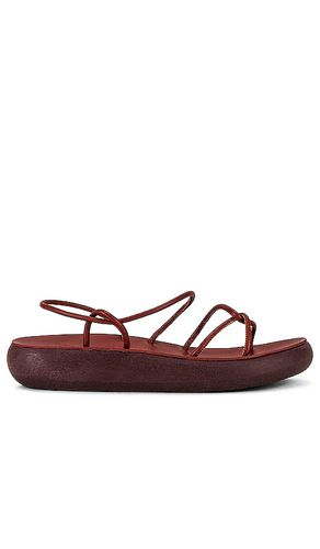 Taxidi Comfort Sandal in . Size 39 - Ancient Greek Sandals - Modalova