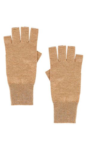 Fingerless Gloves in - Autumn Cashmere - Modalova