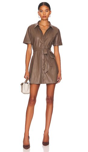 Soho Mini Dress in . Size S, XS - HEARTLOOM - Modalova
