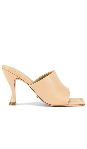 Lava Sandal in . Size 5.5, 6.5, 7.5, 8 - Tony Bianco - Modalova